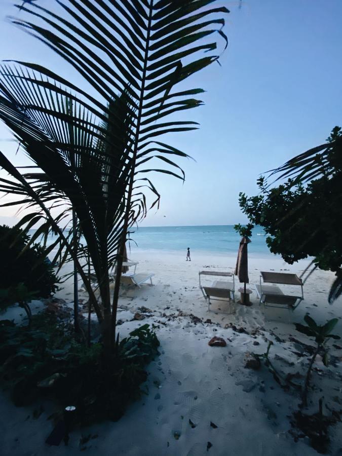 Crystal Beach Nungwi Exterior foto